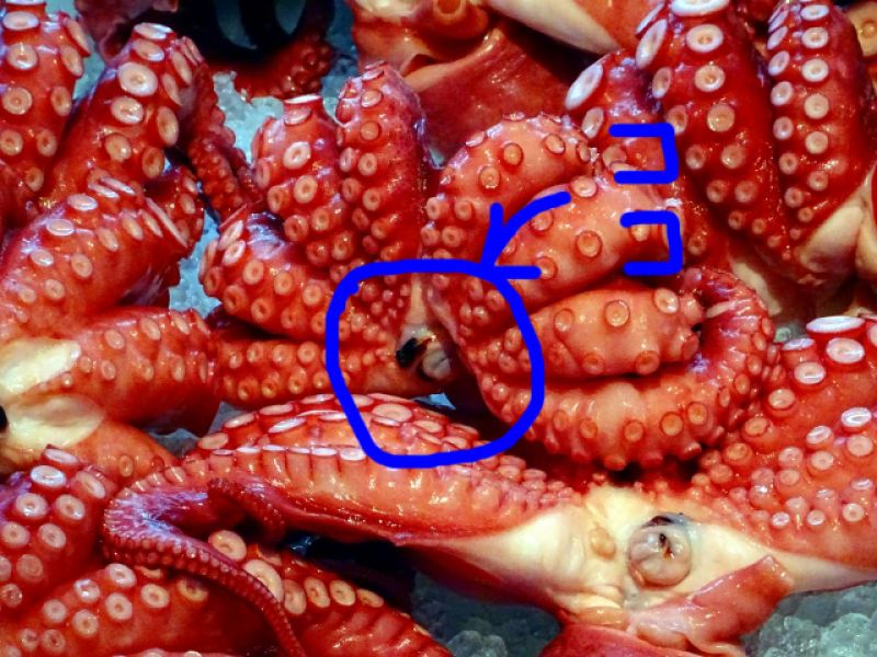 viên Tako tonbi viên Tako tonbi